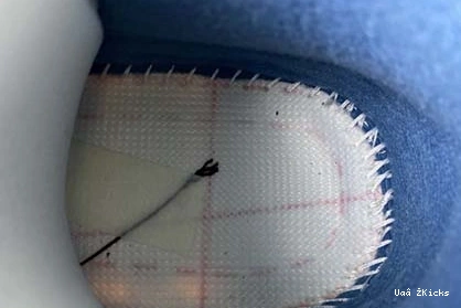 x Air DC9533- 5263 Trendsetting 512 4 Jordan Union 1102